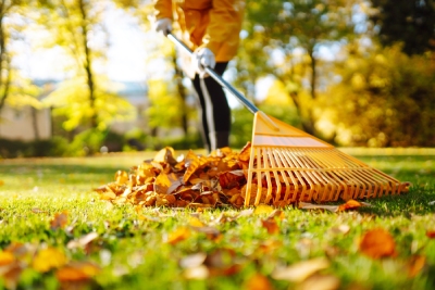 Tâches à réaliser dans son jardin à l'automne